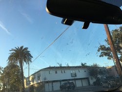 Jug of urine left on car in Long Beach