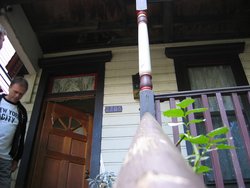 IMG_4481
