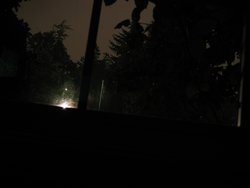 IMG_4558