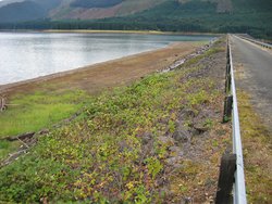 IMG_4595