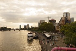 _DSC0867